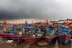 Tàu cá neo đậu tránh bão. (Ảnh: An Đăng/TTXVN)