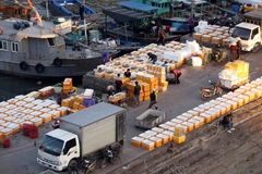 Hải sản đánh bắt được tập kết tại bến cảng Cái Rồng, huyện Vân Đồn, tỉnh Quảng Ninh, để mang đi tiêu thụ. (Ảnh: Quang Quyết/TTXVN)