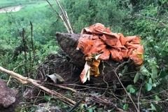 Các bộ phận của máy bay Su 22 rơi tại hiện trường. (Ảnh: Bích Huệ/TTXVN)