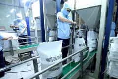 Đóng bao sản phẩm gạo xuất khẩu. (Ảnh: Vũ Sinh/TTXVN)