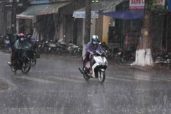 Ảnh minh họa. (Nguồn: TTXVN) 