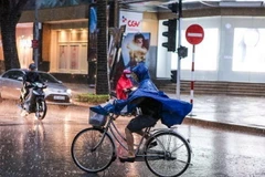 Ảnh minh họa. (Nguồn: Vietnam+)