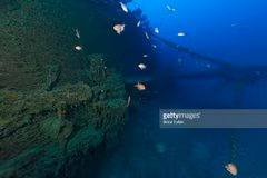 Đảo Vis trên Biển Adriatic.. (Nguồn: gettyimages)