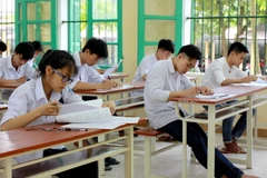 Ảnh chỉ có tính minh họa.. (Nguồn: Thế Duyệt/TTXVN)