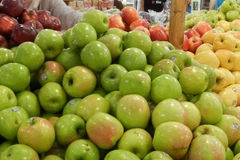 Indonesia cấm bán táo nhập khẩu từ Mỹ do lo ngại vi khuẩn