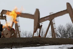 OPEC lên kế hoạch thiết lập liên minh để bình ổn thị trường dầu