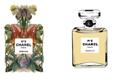 Nước hoa mùa đông - Bản giao hưởng của những nốt trầm