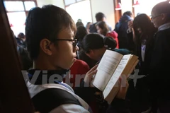 Ảnh minh họa. (Nguồn: Minh Sơn/Vietnam+)