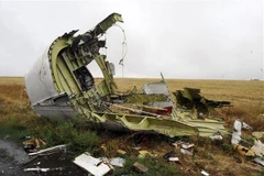 Xác máy bay MH17 của Hãng hàng không Malaysia Airlines bị bắn rơi gần làng Grabove, cách Donetsk, miền Đông Ukraine khoảng 80km. (Nguồn: AFP/TTXVN)