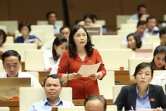 Đại biểu Quốc hội tỉnh Thái Nguyên Đoàn Thị Hảo phát biểu ý kiến. (Ảnh: Doãn Tấn/TTXVN)