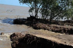 Sạt lở bờ biển địa bàn xã Vân Khánh, huyện An Minh. (Ảnh: Lê Sen/TTXVN)