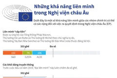 [Infographics] Những khả năng liên minh trong Nghị viện châu Âu