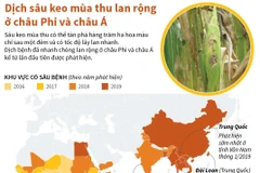 Dịch sâu keo mùa Thu lan rộng ở châu Phi và châu Á