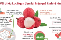 [Infographics] Vải thiều Lục Ngạn đem lại hiệu quả kinh tế lớn