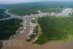Vườn Quốc gia Mũi Cà Mau nhìn từ trên cao. (Ảnh: Trọng Đạt/TTXVN)