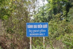 (Nguồn: baochinhphu.vn)