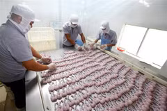 Dây chuyền đóng gói và sản xuất ếch xuất khẩu sang Mỹ. (Ảnh: Danh Lam/TTXVN)