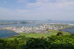 Ngắm một góc Jeju từ đỉnh Mặt Trời mọc Seongsan Ilchulbong. (Ảnh: PV/Vietnam+)
