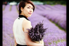 Tốp ba điểm đến ngắm hoa oải hương đẹp nhất mùa Hè 