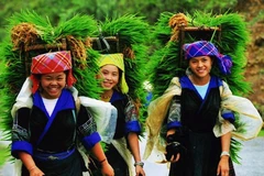 Chính thức khởi động cuộc thi ảnh “Việt Nam-Đất nước-Con người” 