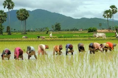 Campuchia cần 26,5 tỷ USD cho kế hoạch giảm nghèo