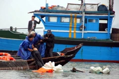 Chìm tàu đánh cá tại Thanh Hóa, 8 ngư dân được cứu thoát