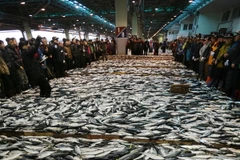 Hàn Quốc-Nhật Bản đạt thỏa thuận về hạn ngạch đánh bắt cá