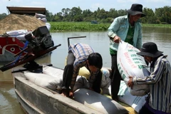 Tăng cường liên kết sản xuất và tiêu thụ thóc, gạo giai đoạn 2015-2020