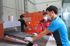 Hải Dương: Nhà máy SD Global Việt Nam chính thức đi vào hoạt động