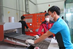 Hải Dương: Nhà máy SD Global Việt Nam chính thức đi vào hoạt động