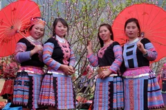 Người con gái Mông trong trang phục truyền thống bên hoa đào. (Ảnh: Diệp Anh/TTXVN)