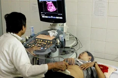 Ảnh minh họa. (Nguồn: TTXVN)