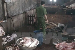 Ảnh minh họa. (Nguồn: TTXVN)