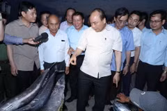Thủ tướng Nguyễn Xuân Phúc thăm Cảng cá Cửa Việt. (Ảnh: Thống Nhất/TTXVN)