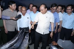 Thủ tướng Nguyễn Xuân Phúc thăm Cảng cá Cửa Việt. (Ảnh: Thống Nhất/TTXVN)