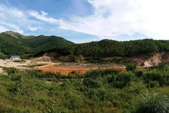 Ảnh minh họa. (Nguồn: TTXVN)