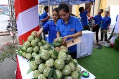 Dán tem truy xuất nguồn gốc xuất xứ cho sản phẩm na Chi Lăng. (Ảnh: Vũ Sinh/TTXVN)
