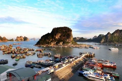 Một góc cảng Cái Rồng, Vân Đồn, Quảng Ninh. (Ảnh: Quang Quyết/TTXVN)