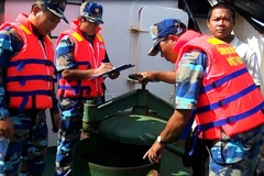 Ngành chức năng kiểm tra hành vi sang dầu trái phép. (Ảnh minh họa: Huỳnh Thế Anh/TTXVN)