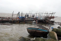 Ảnh minh họa. (Nguồn: TTXVN)