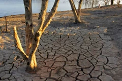 (Nguồn: South China Morning Post)