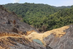 Hàng chục hecta rừng Đắk Nông bị tàn phá, đốt trụi. (Ảnh minh họa. Nguồn: TTXVN)