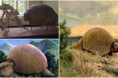 (Nguồn: Thevintagenews.com)