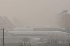 Sương mù dày đặc ở New Delhi. (Nguồn: Hindustantimes)