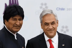 Tổng thống Bolivia Evo Morales đã kêu gọi người đồng cấp Chile Sebastián Piñera. (Nguồn: teleSUR)