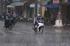 Ảnh minh họa. (Nguồn: TTXVN)