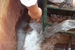 Ảnh minh họa. (Nguồn: TTXVN)