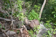 Ảnh minh họa. (Nguồn: TTXVN)