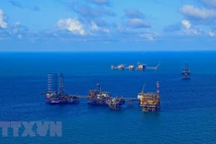 Các giàn khoan của Liên doanh Vietsovpetro tại mỏ Bạch Hổ. (Ảnh: Huy Hùng/TTXVN)