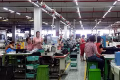 Công nhân Công ty trách nhiệm hữu hạn PouYuen Việt Nam (quận Bình Tân, Thành phố Hồ Chí Minh) trong giờ sản xuất tại khu B. (Ảnh: Thanh Vũ/TTXVN)
